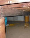 Mold and rot thriving in a dirt floor crawl space in Cedar Rapids