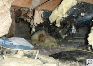 A messy crawl space filled with rotting insulation and debris in Marion.