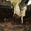 Fiberglass insulation dripping off a pipe in La Salle.