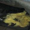 Disintegrated fiberglass insulation sitting in a pool of water in DeWitt.