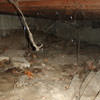A crawl space with spiderwebs, mold, and uneven floors in Muscatine.