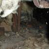 A dirt crawl space with water-soaked fiberglass insulation in Princeton.