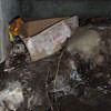 A rotting box sitting on a rock in a crawl space in Fairfield .