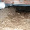 A muddy, disgusting crawl space with little or no head room in Evansdale.