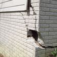 foundation walls cracked due to settlement in Cedar Rapids