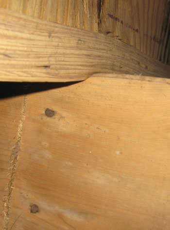 severe damage to a crawl space structure in a Rock Island home