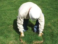 Restoring the landscaping by replacing removed lawn sections for a Iowa City home.