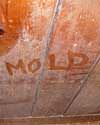 The word mold written with a finger on a moldy wood wall in Normal