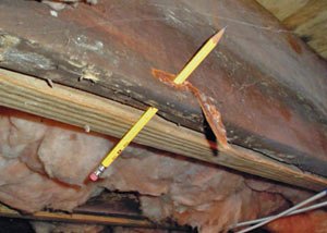 Destroyed crawl space structural wood in East Moline