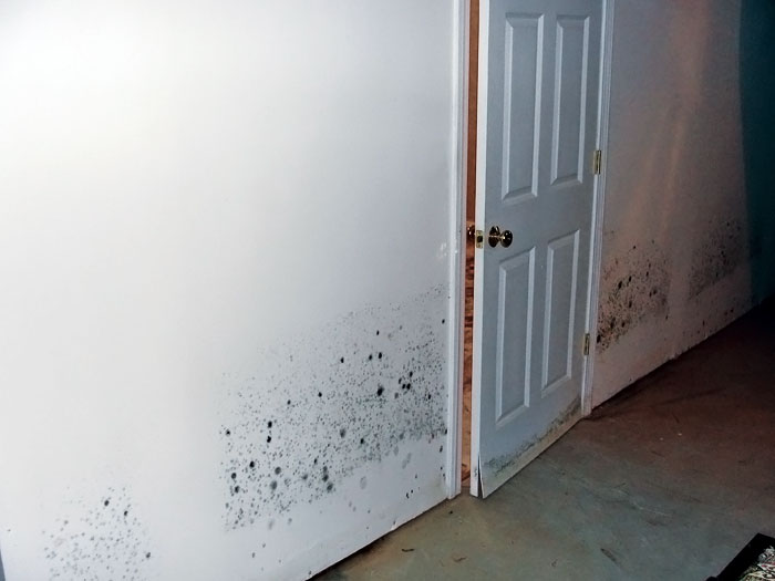 basement wall repair cement drywall thats been damaged by moisture and water will grow mold show significant structural weakening basement wall restoration wet repair quad cities basement wall repair cement drywall thats been damaged by moisture and water will grow mold show significant structural weakening basement wall restoration wet repair quad cities